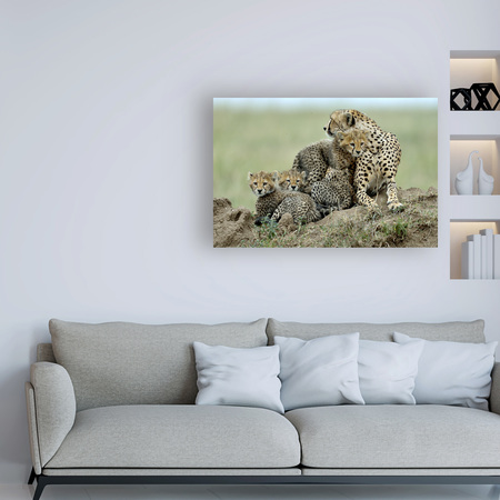 Trademark Fine Art Giuseppe Damico 'Cheetah' Canvas Art, 12x19 1X09920-C1219GG